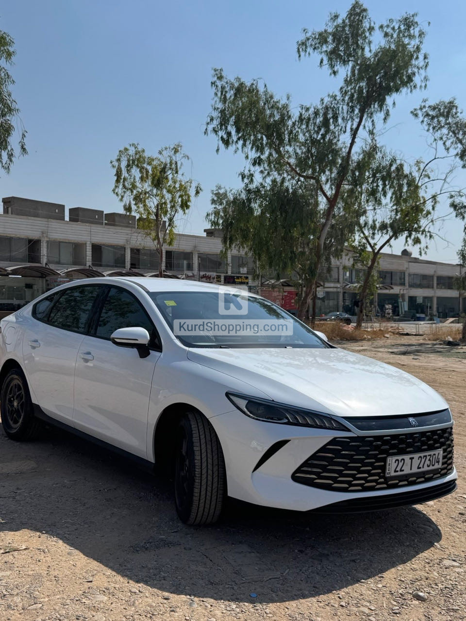 BYD QIN L 2025