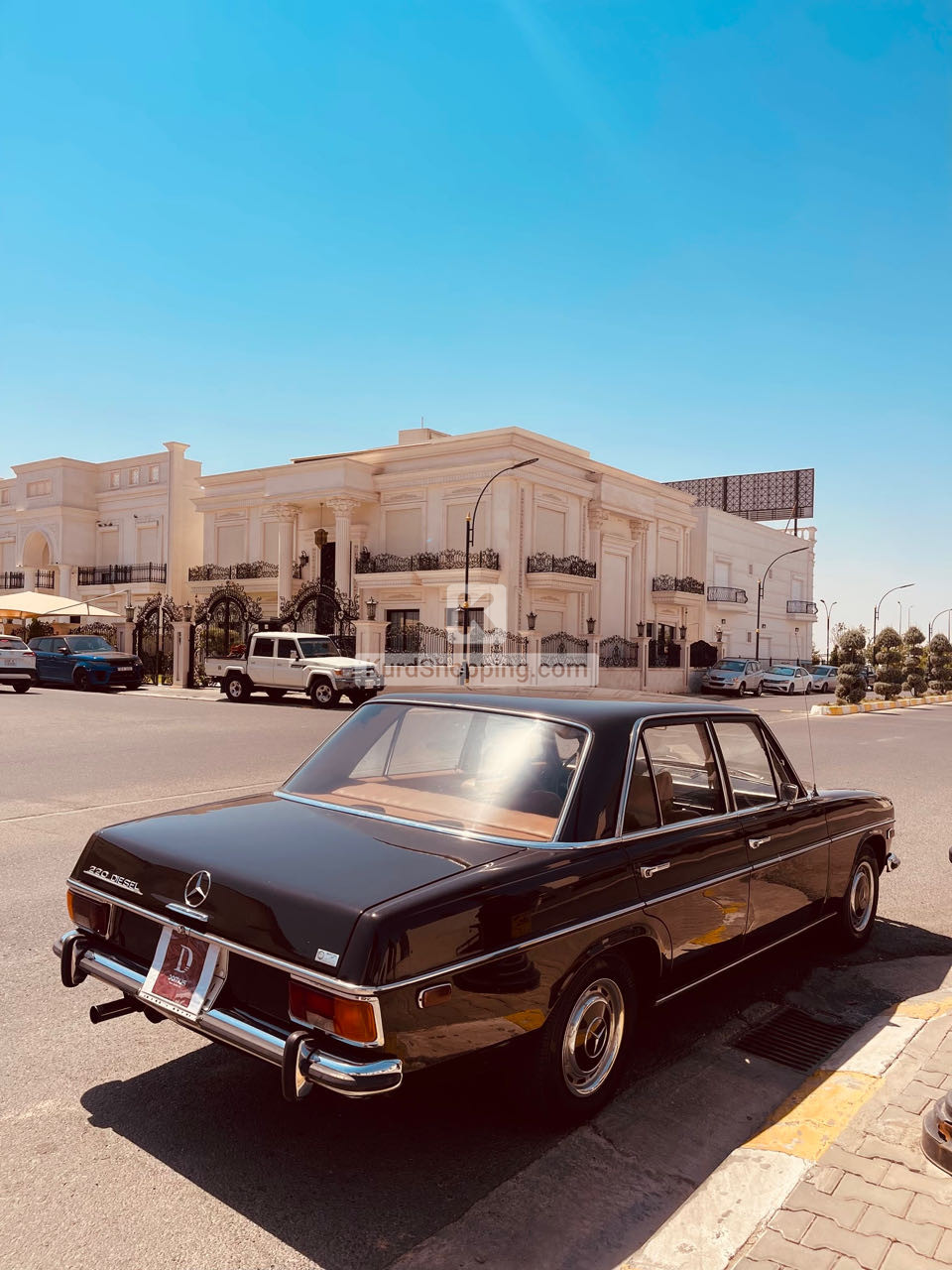 Mercedes Benz 220 1969