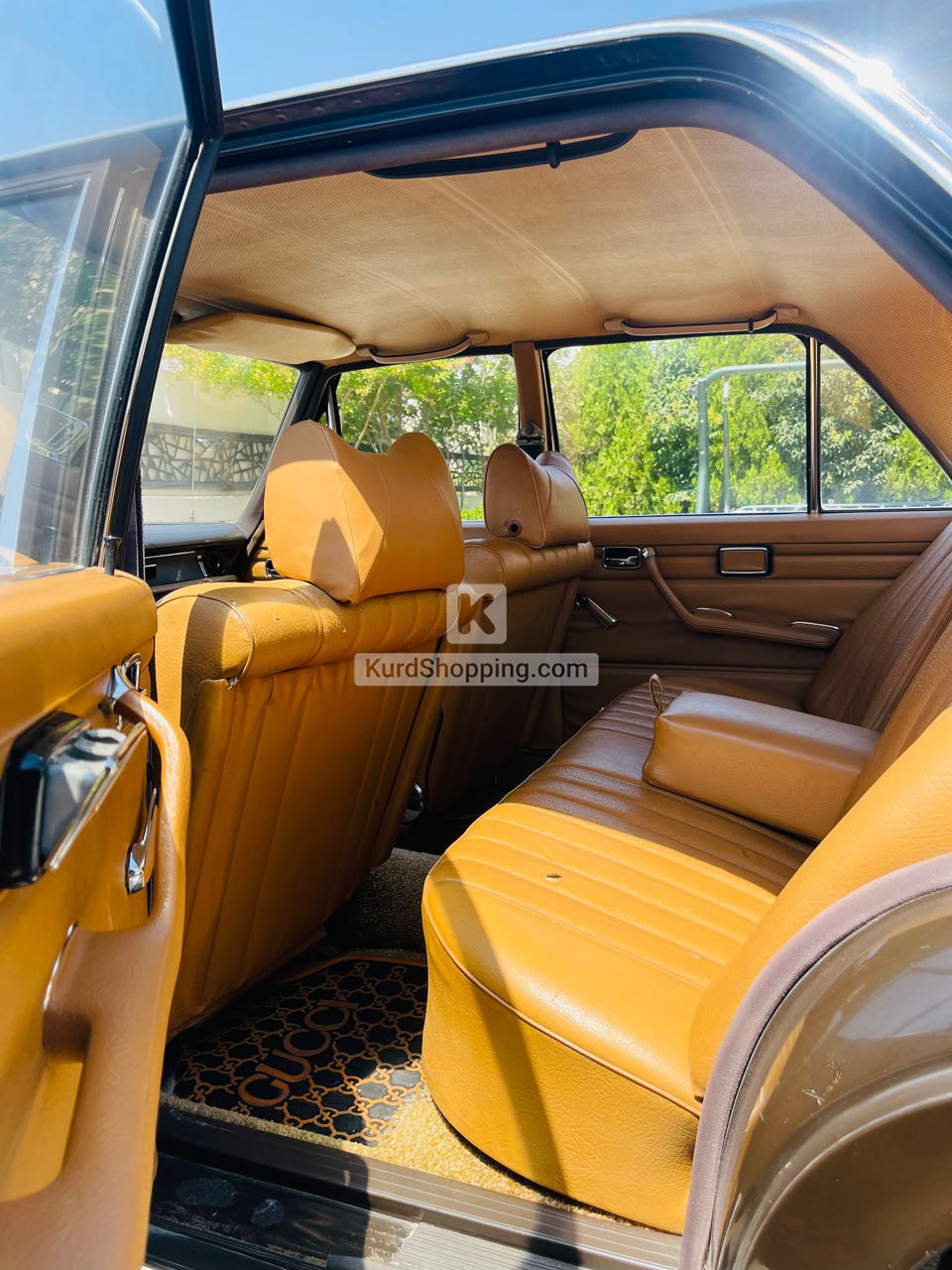 Mercedes Benz 220 1969