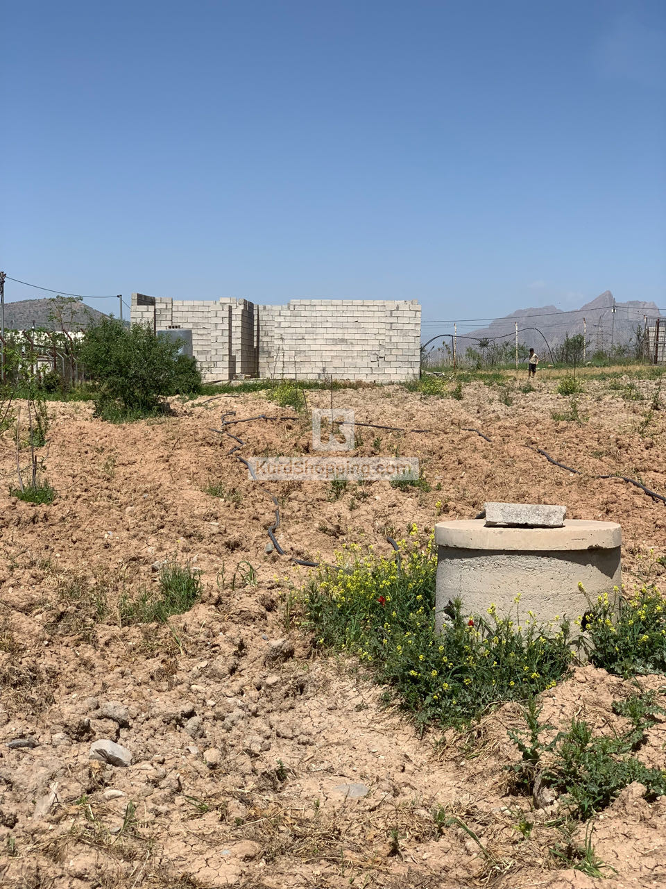 زەوی