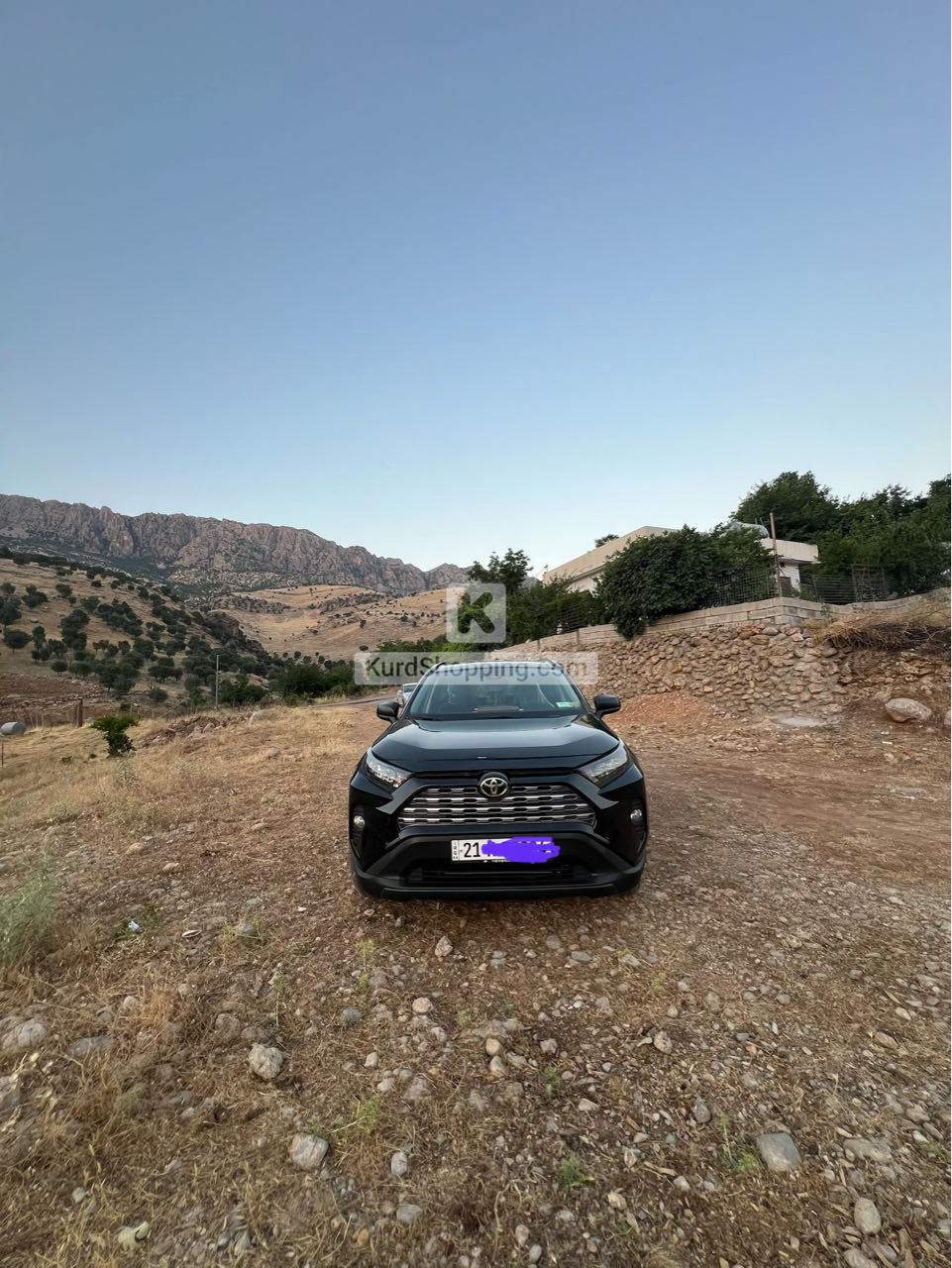 Toyota Rav4 2021