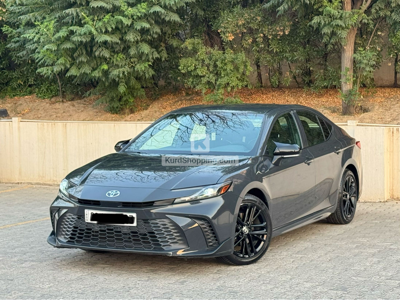 Toyota Corolla 2025