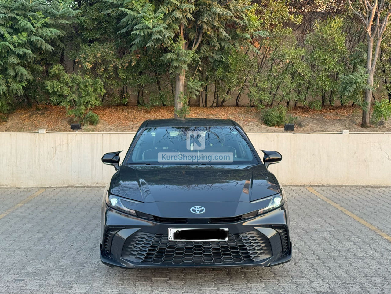 Toyota Corolla 2025