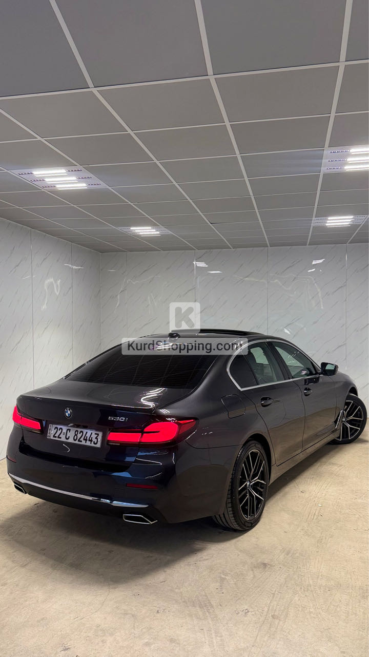 BMW 5 Series 2021