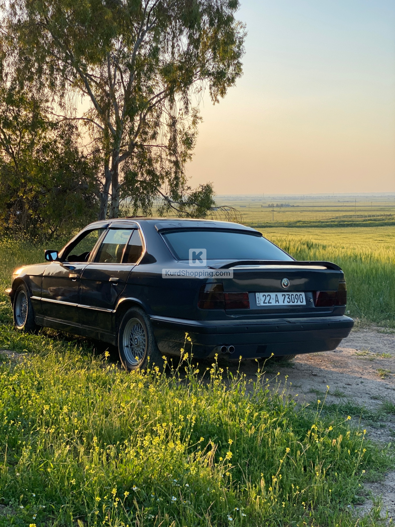 BMW E Series 1991