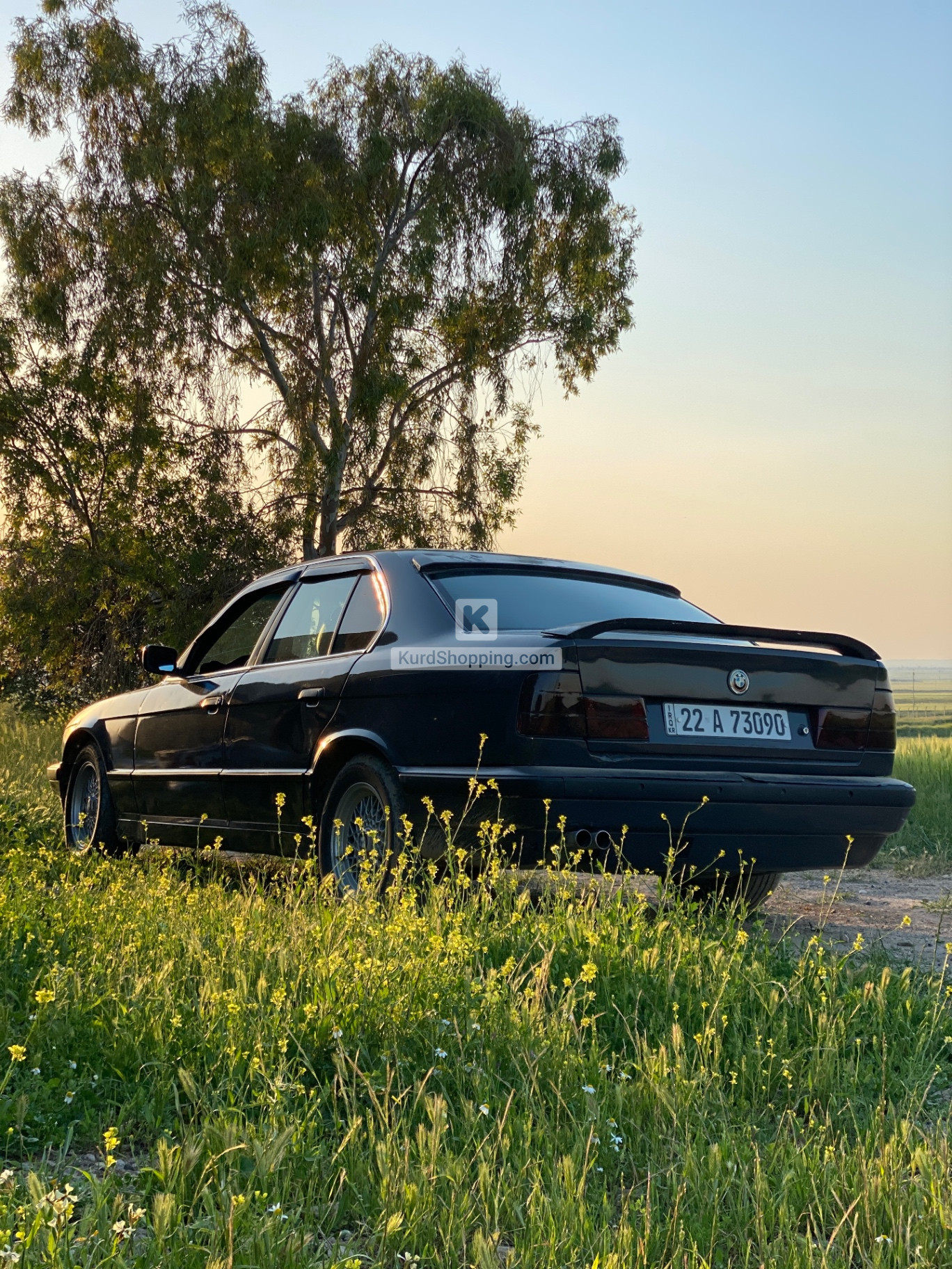 BMW E Series 1991