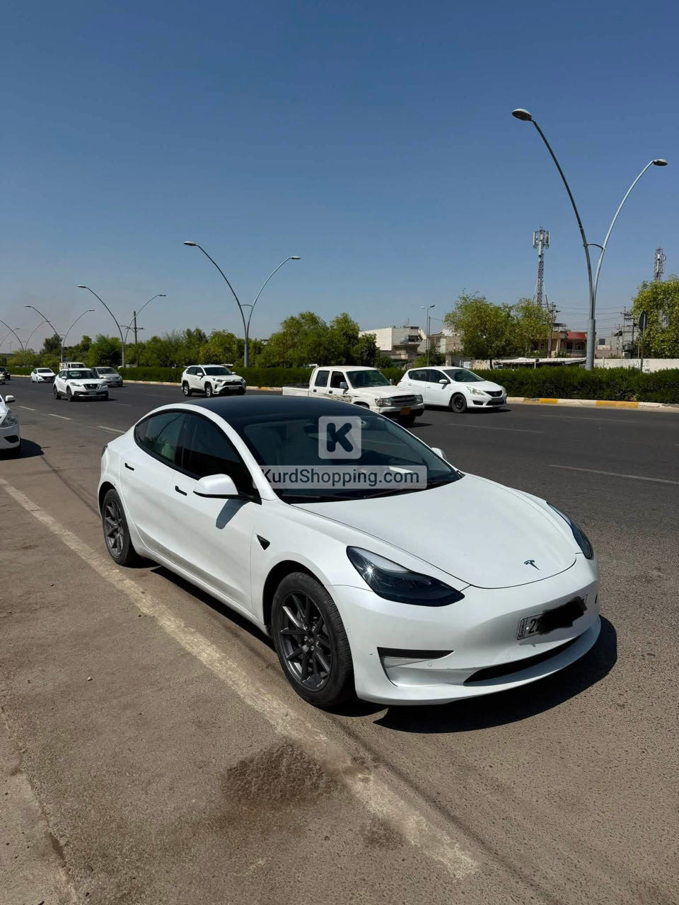 Tesla Model 3 2022