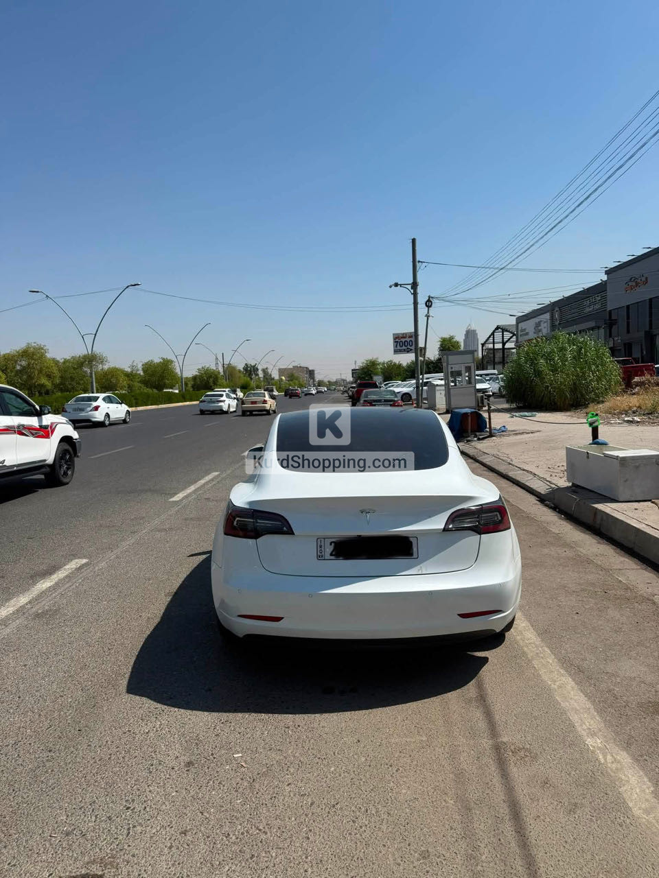 Tesla Model 3 2022
