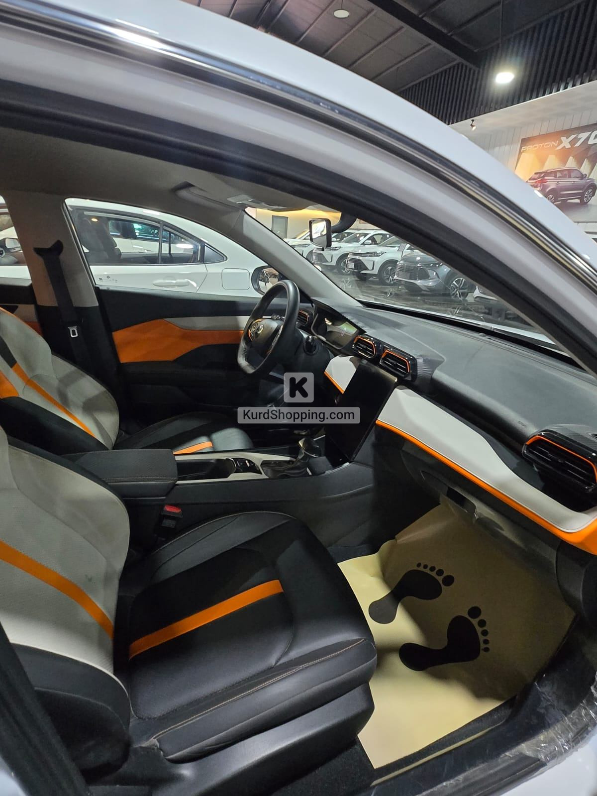 Dongfeng Shine 2024
