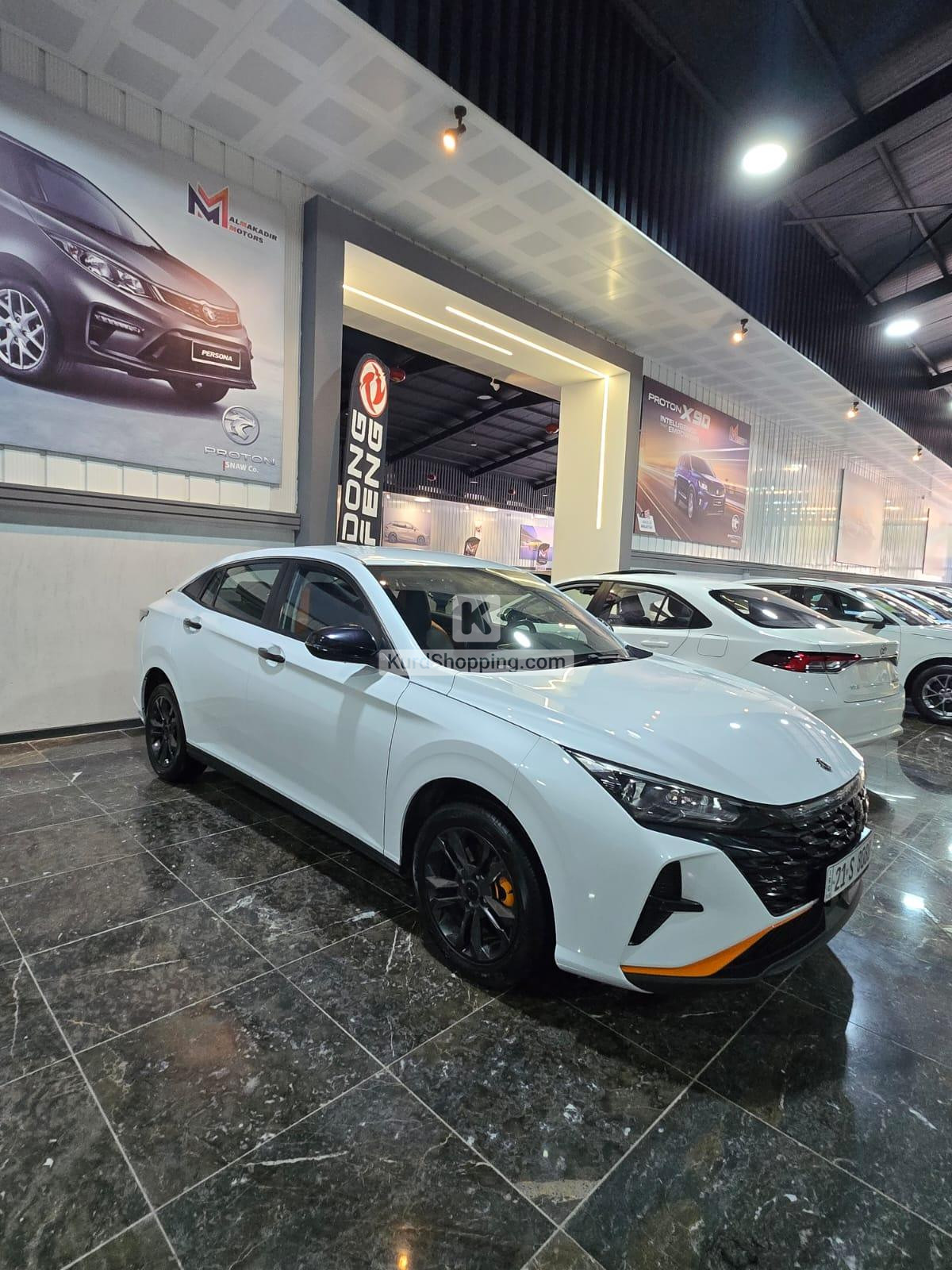 Dongfeng Shine 2024