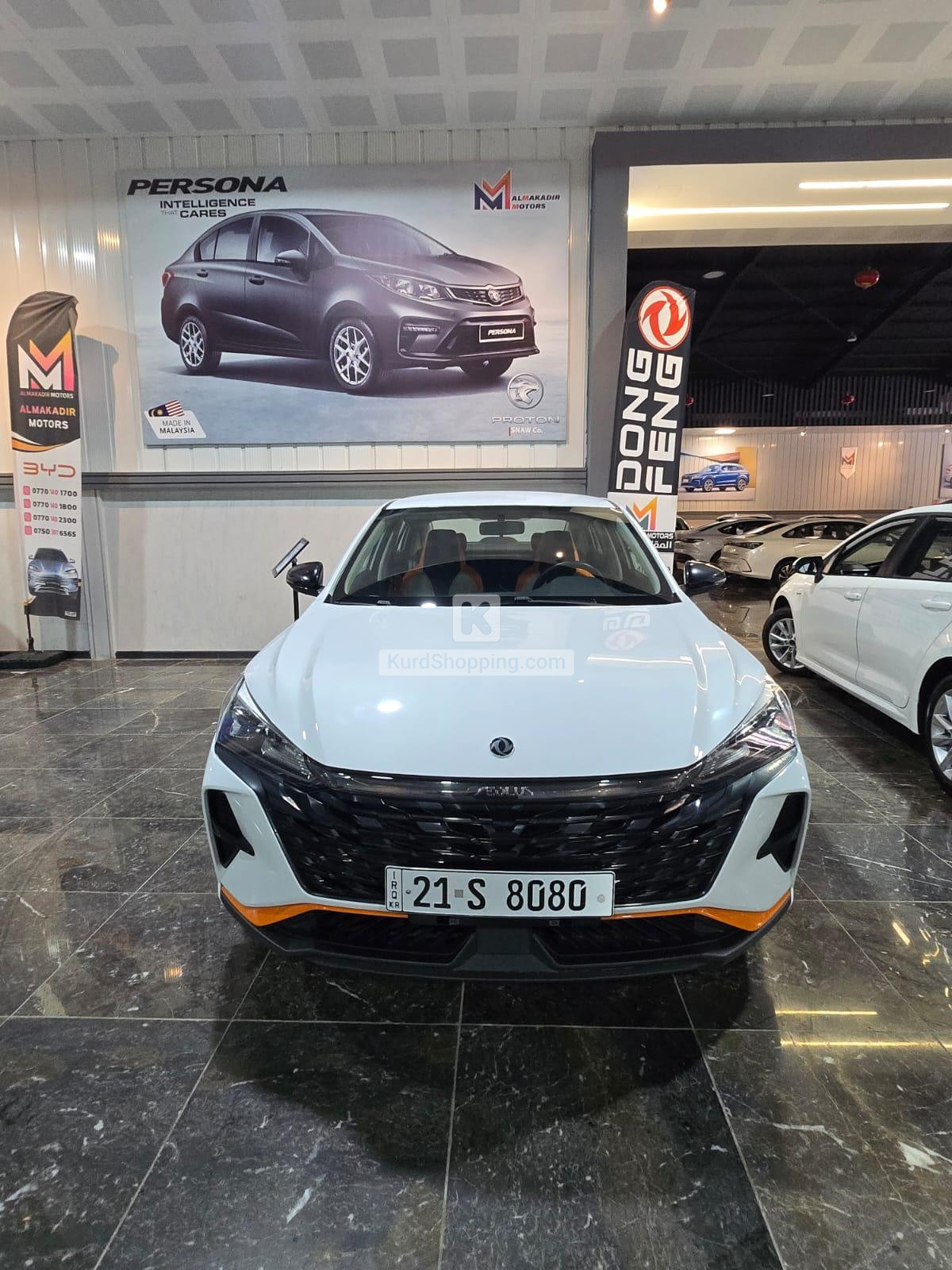 Dongfeng Shine 2024