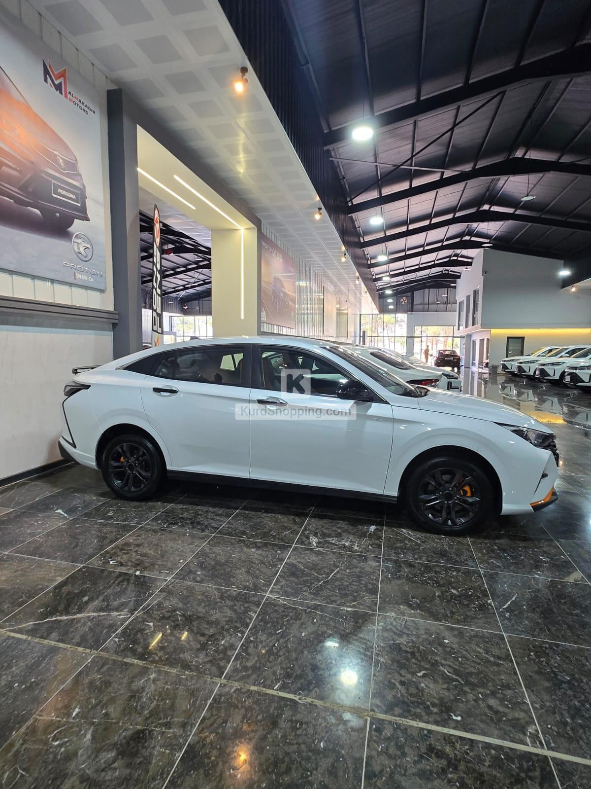 Dongfeng Shine 2024