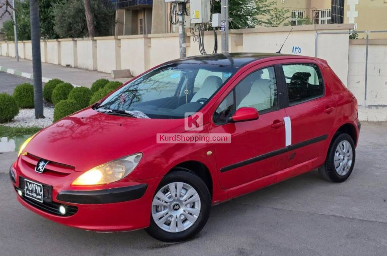 Peugeot 307 2004