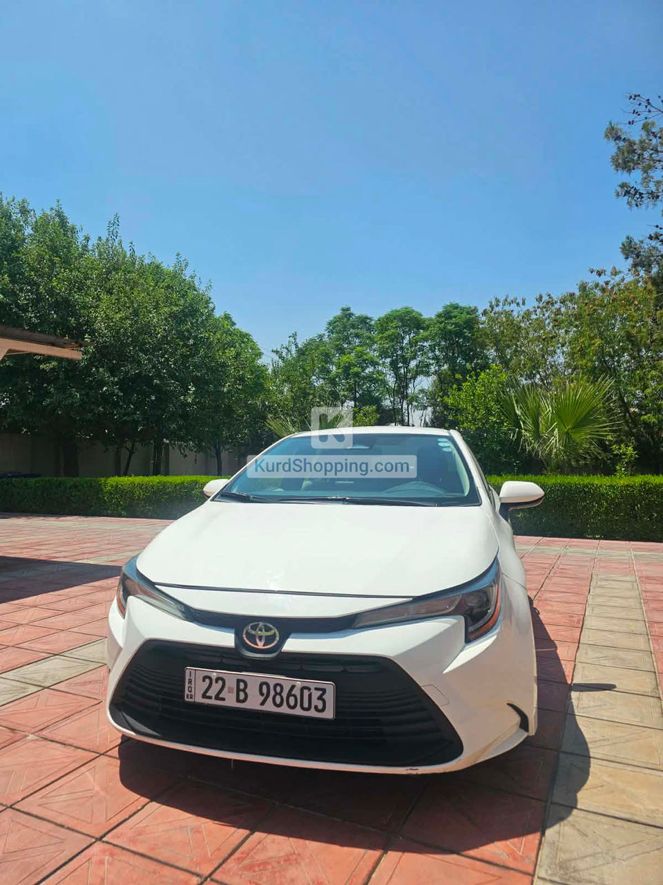 Toyota Corolla 2023