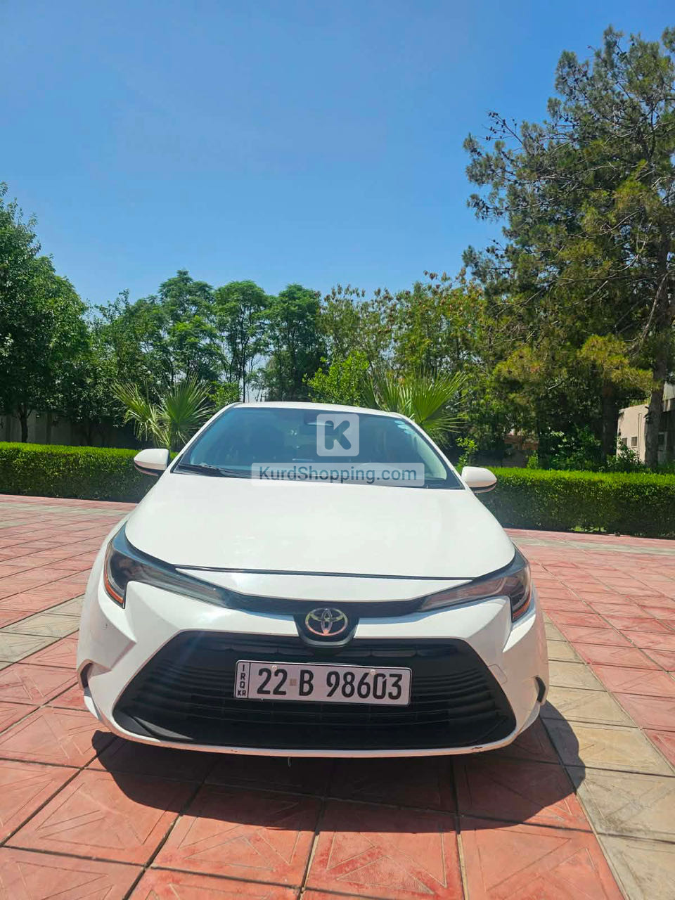 Toyota Corolla 2023