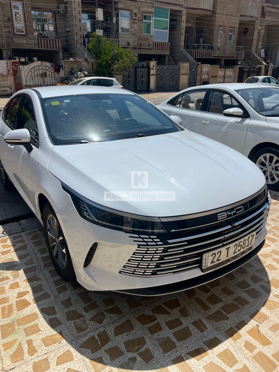 BYD DESTROYER 05 2025