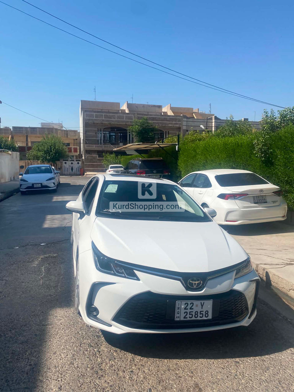 Toyota Corolla 2025