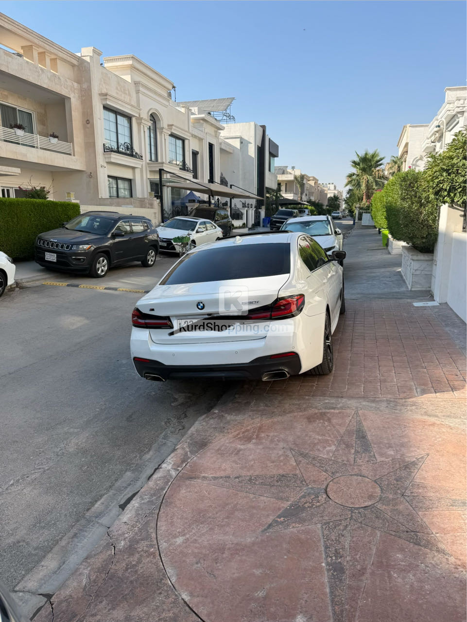 BMW 5 Series 2021