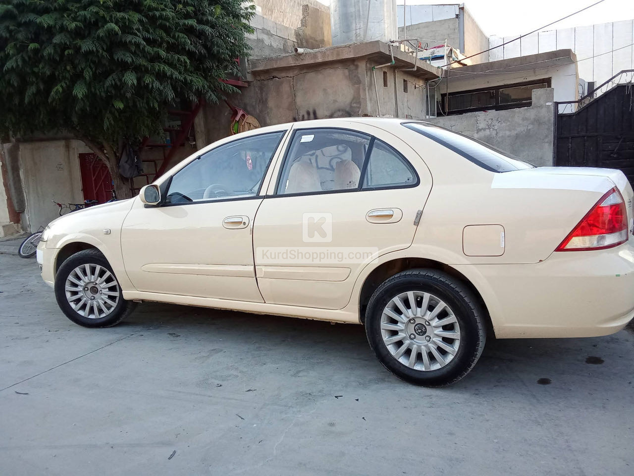 سەنی کۆری ٢٠١٢