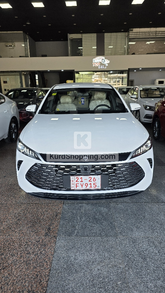 BYD QIN PLUS 2025