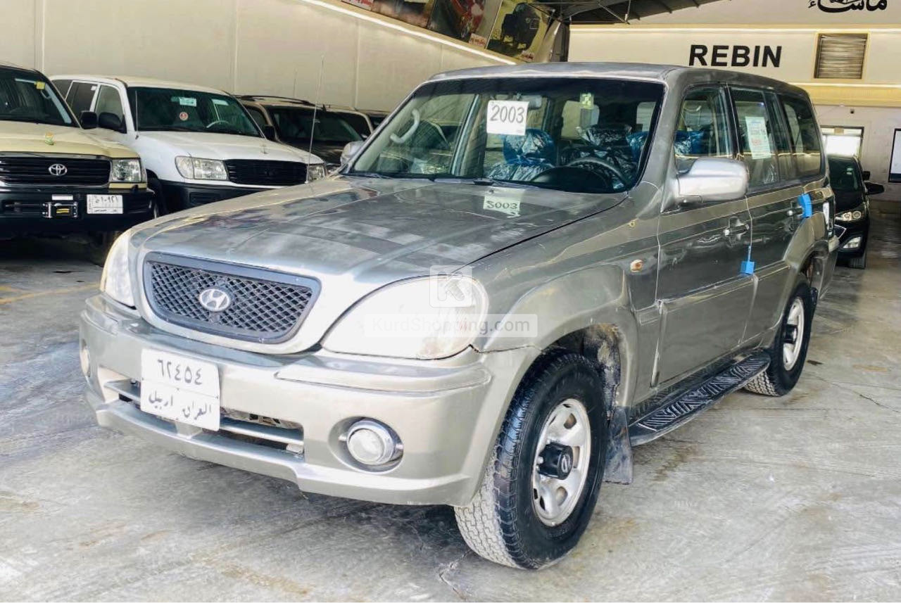 Hyundai Terracan 2002