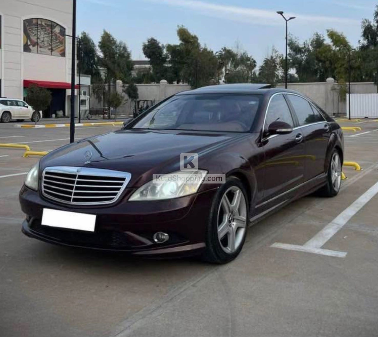 Mercedes Benz S-Class 2008