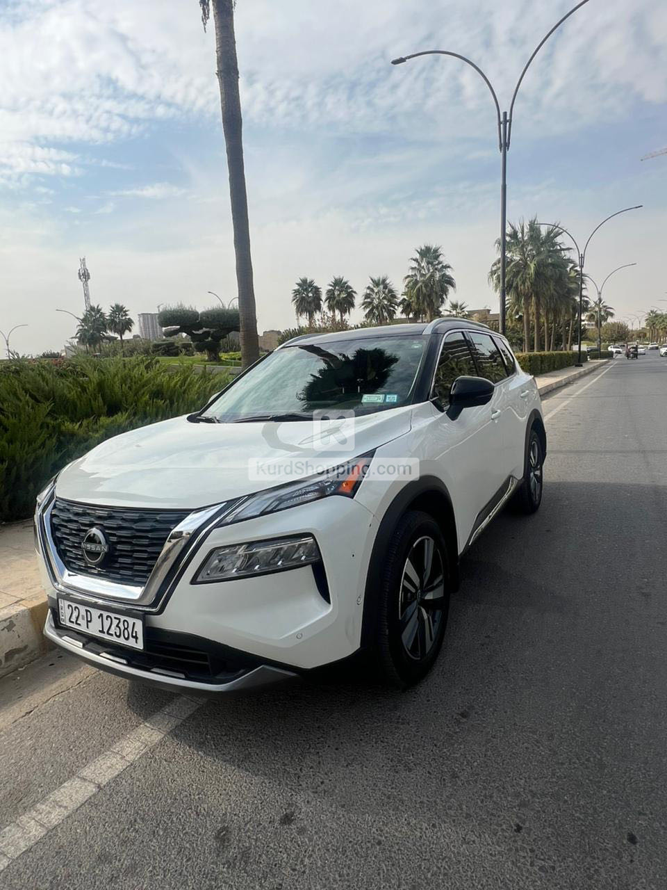 Nissan ڕۆج 2023