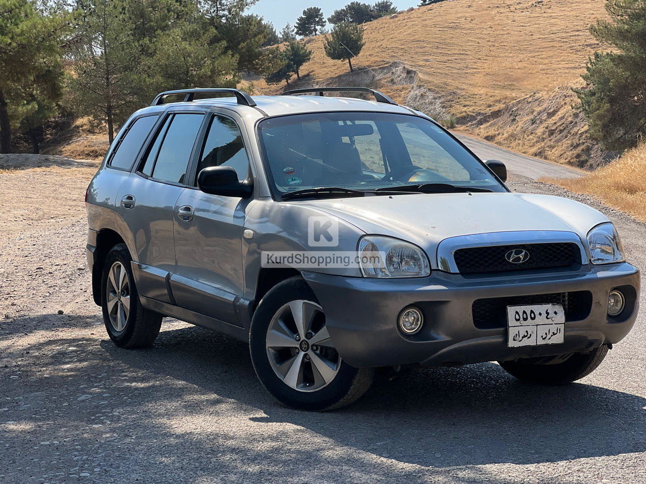 Hyundai Santa Fe 2005