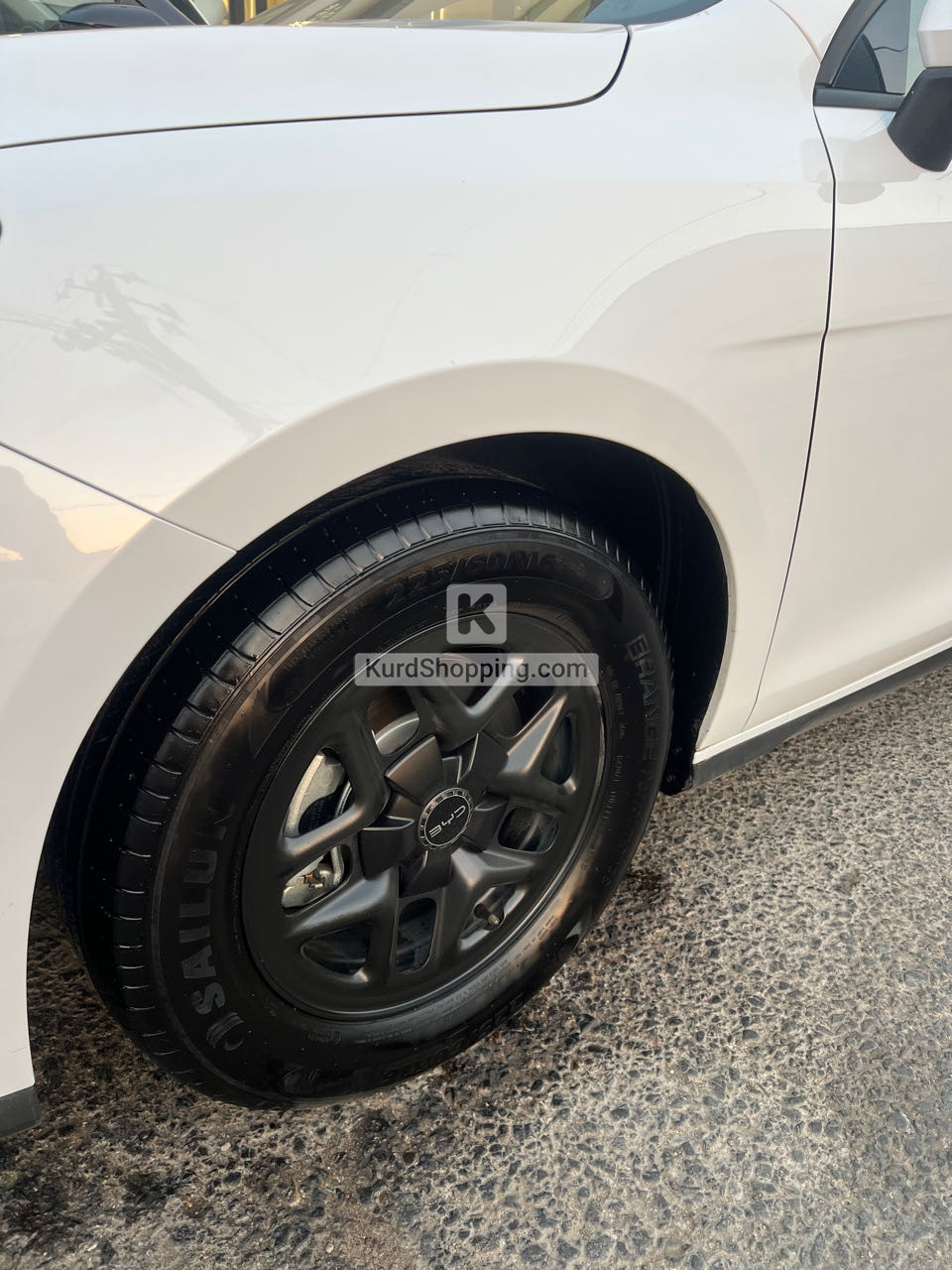 BYD DESTROYER 05 2025