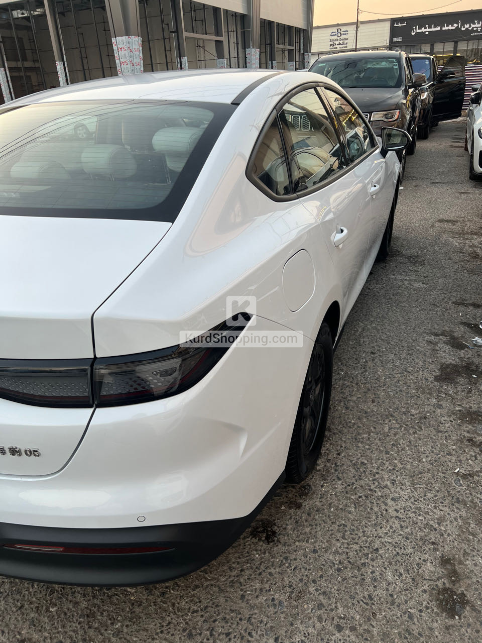 BYD DESTROYER 05 2025