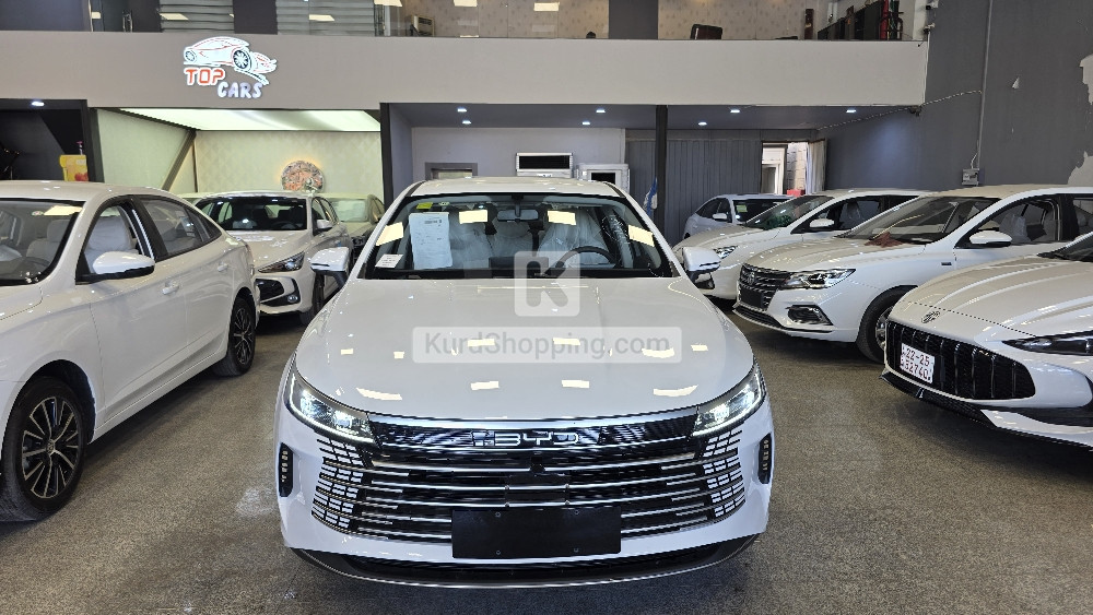 BYD DESTROYER 05 2025