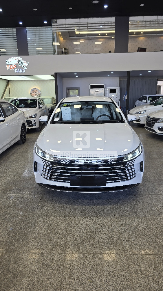 BYD DESTROYER 05 2025