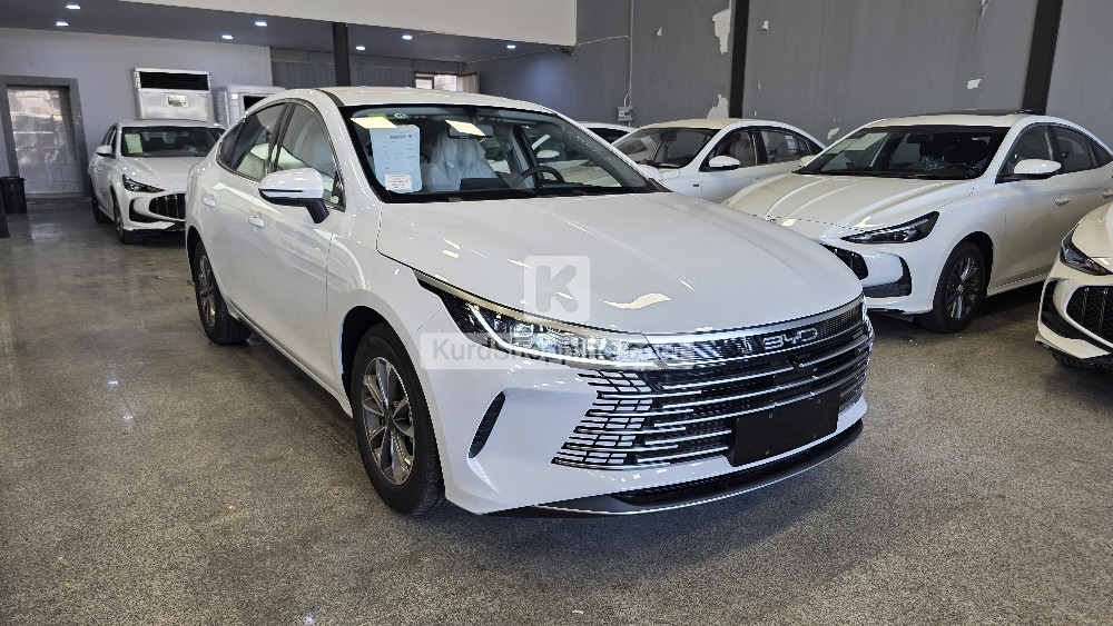 BYD DESTROYER 05 2025