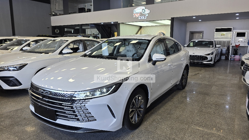 BYD DESTROYER 05 2025