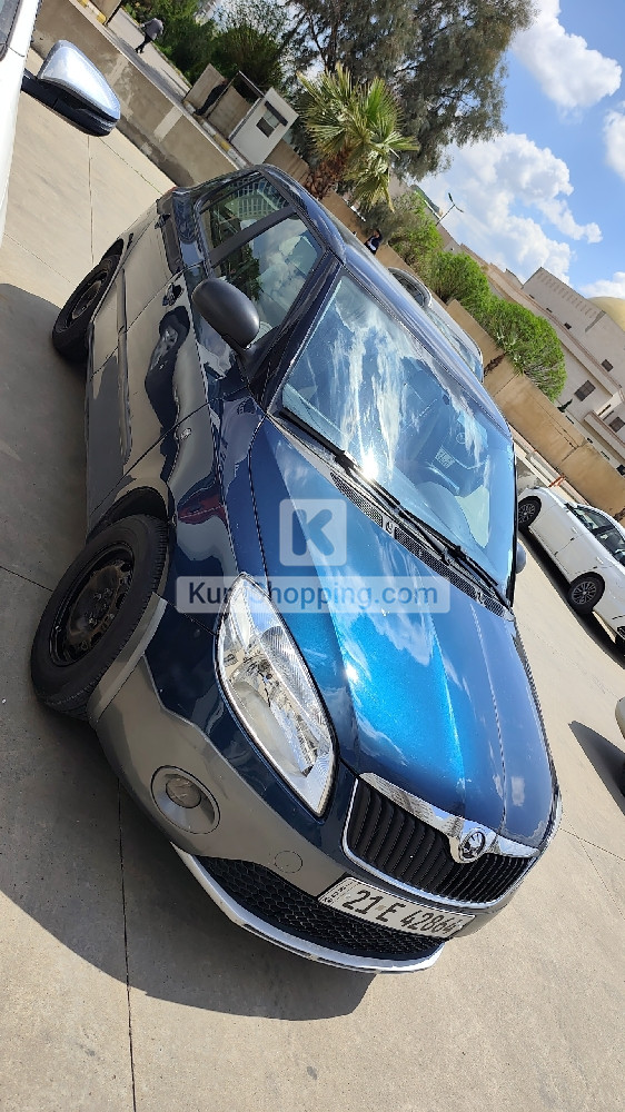 Skoda Fabia 2013