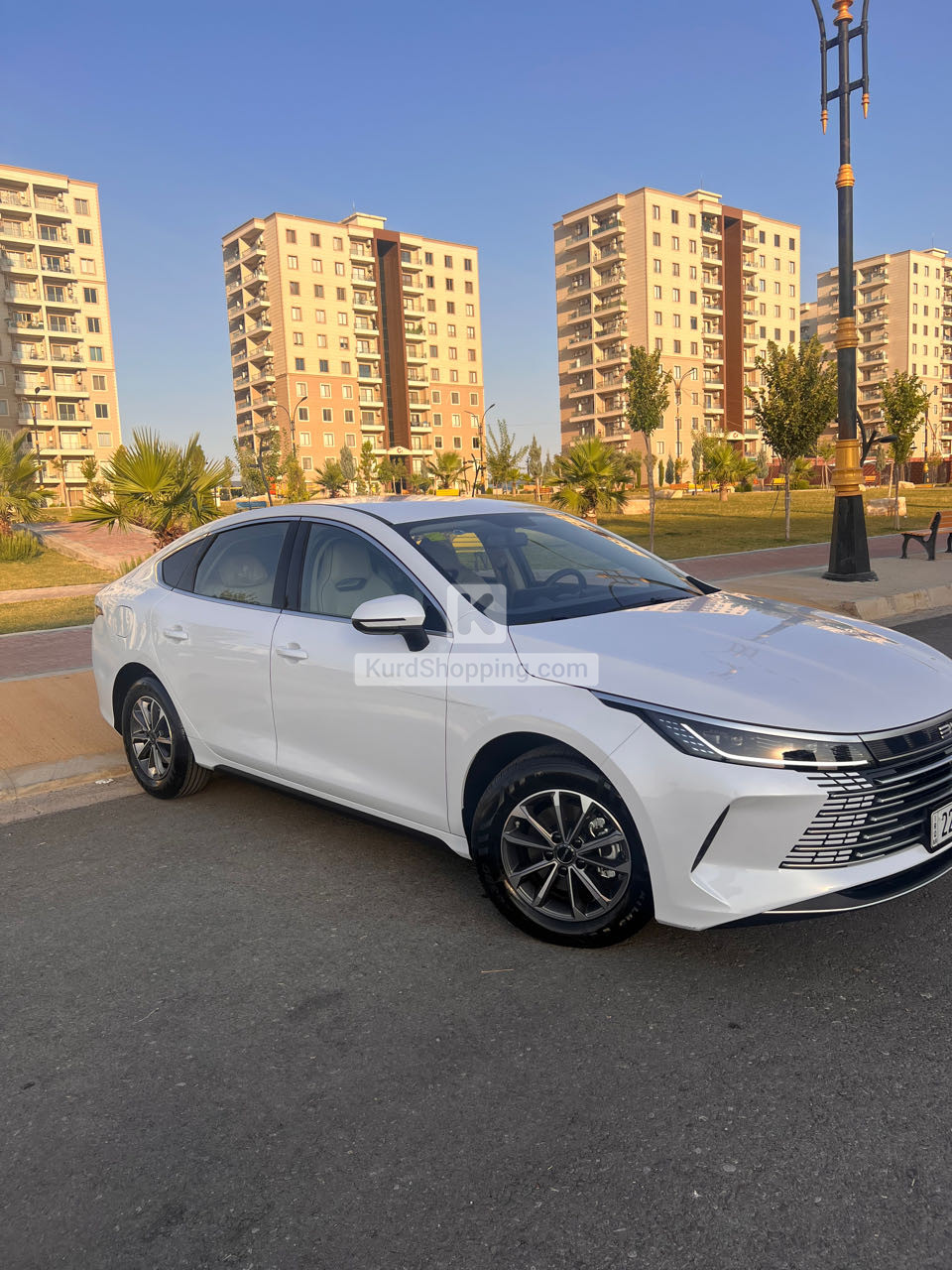 BYD DESTROYER 05 2025