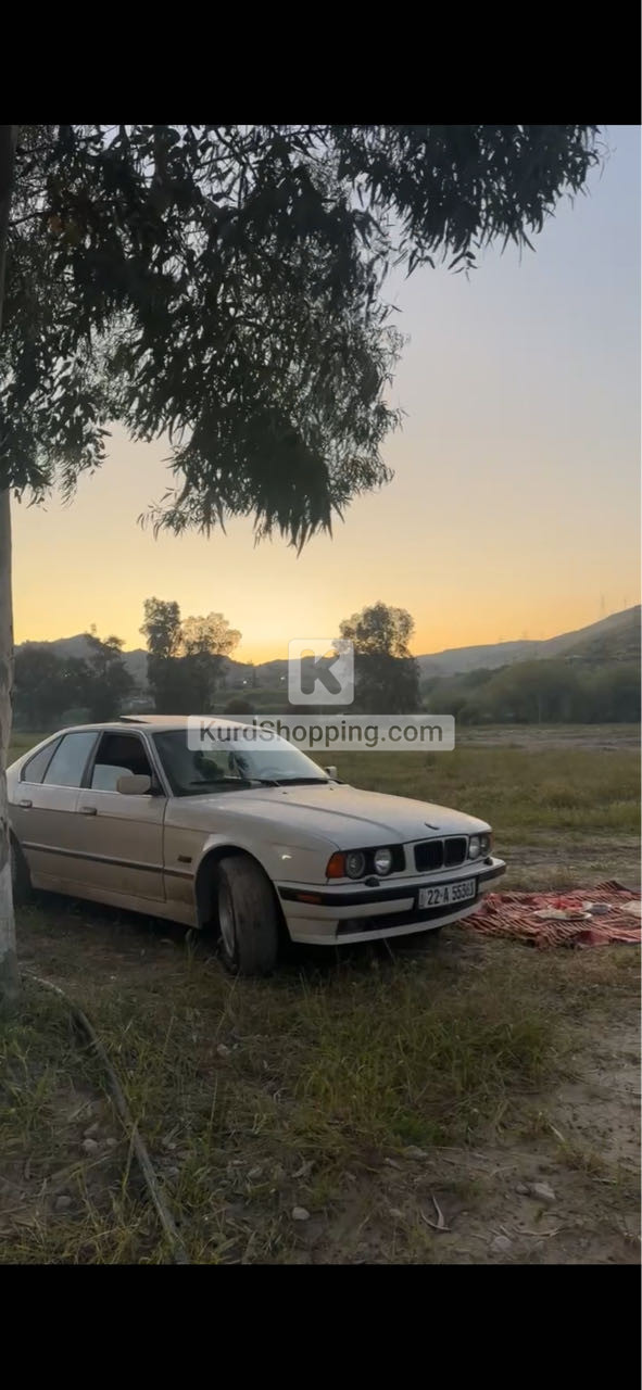 BMW E Series 1992