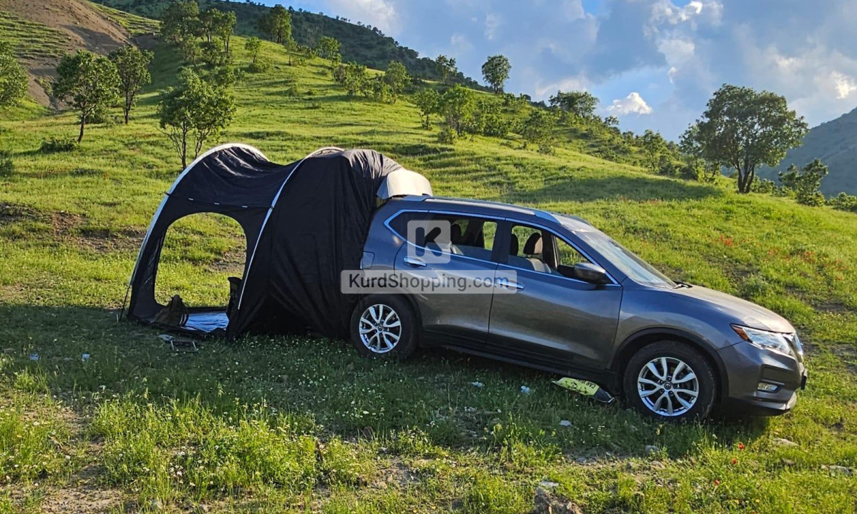 Nissan Rogue 2020