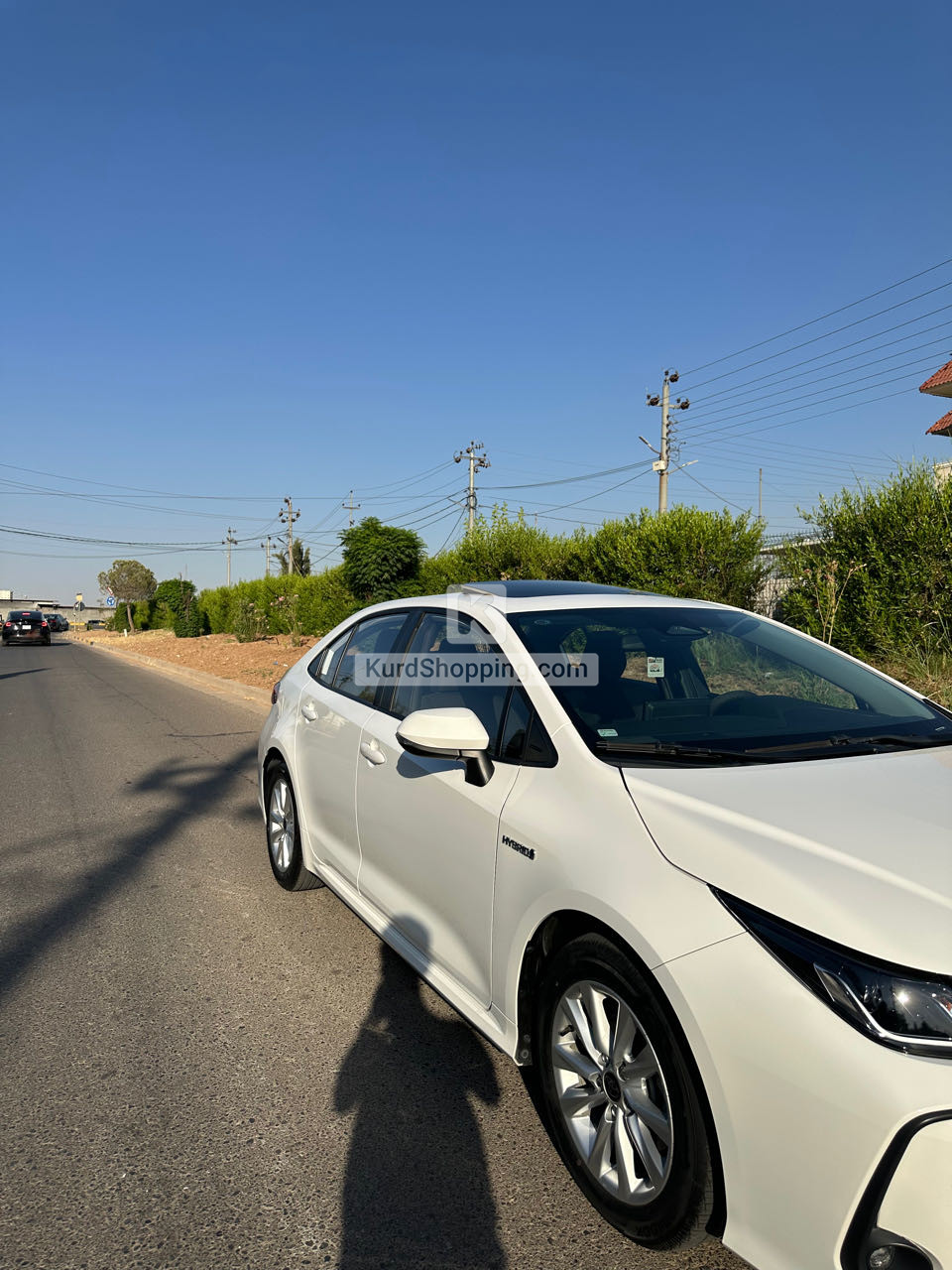 Toyota Corolla 2024