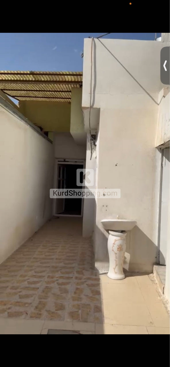 خانوو لە شاوێس