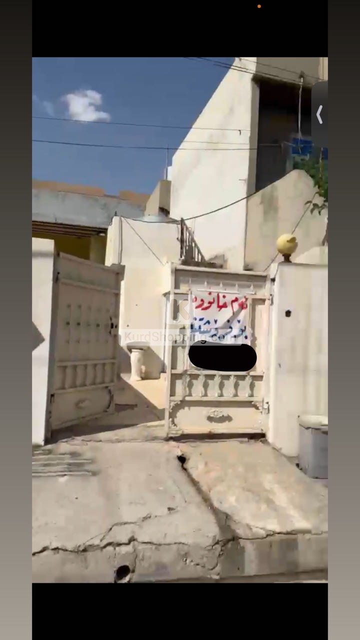 خانوو لە شاوێس
