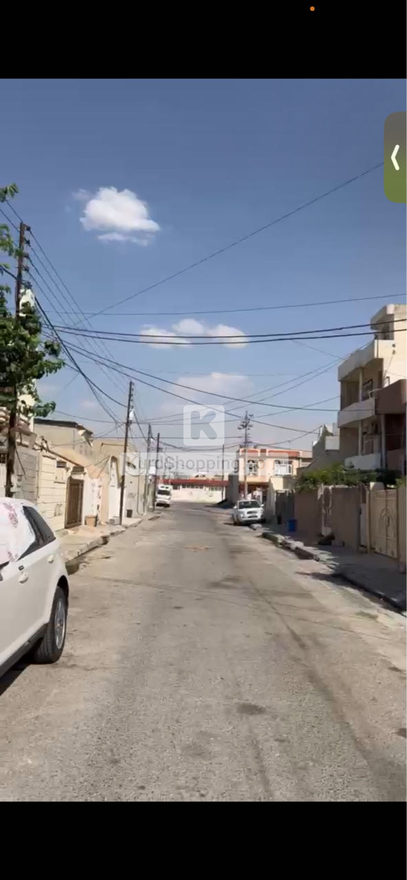 خانوو لە شاوێس