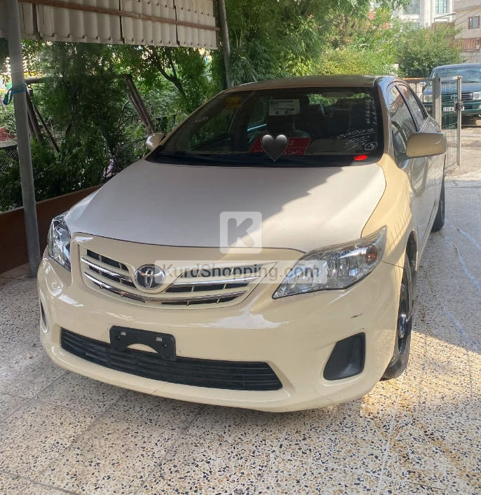 بیکاشۆ ٢٠١٠