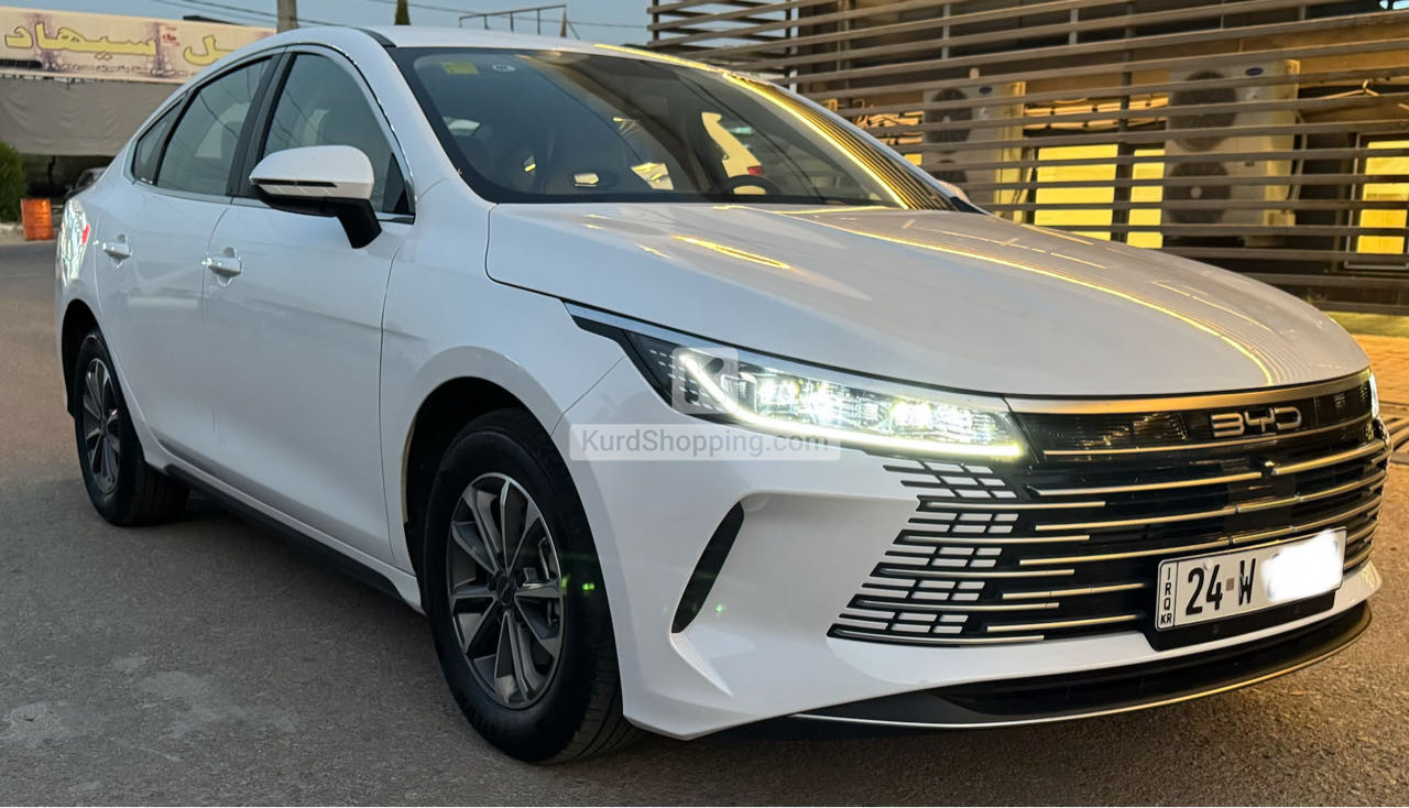 BYD DESTROYER 05 2025