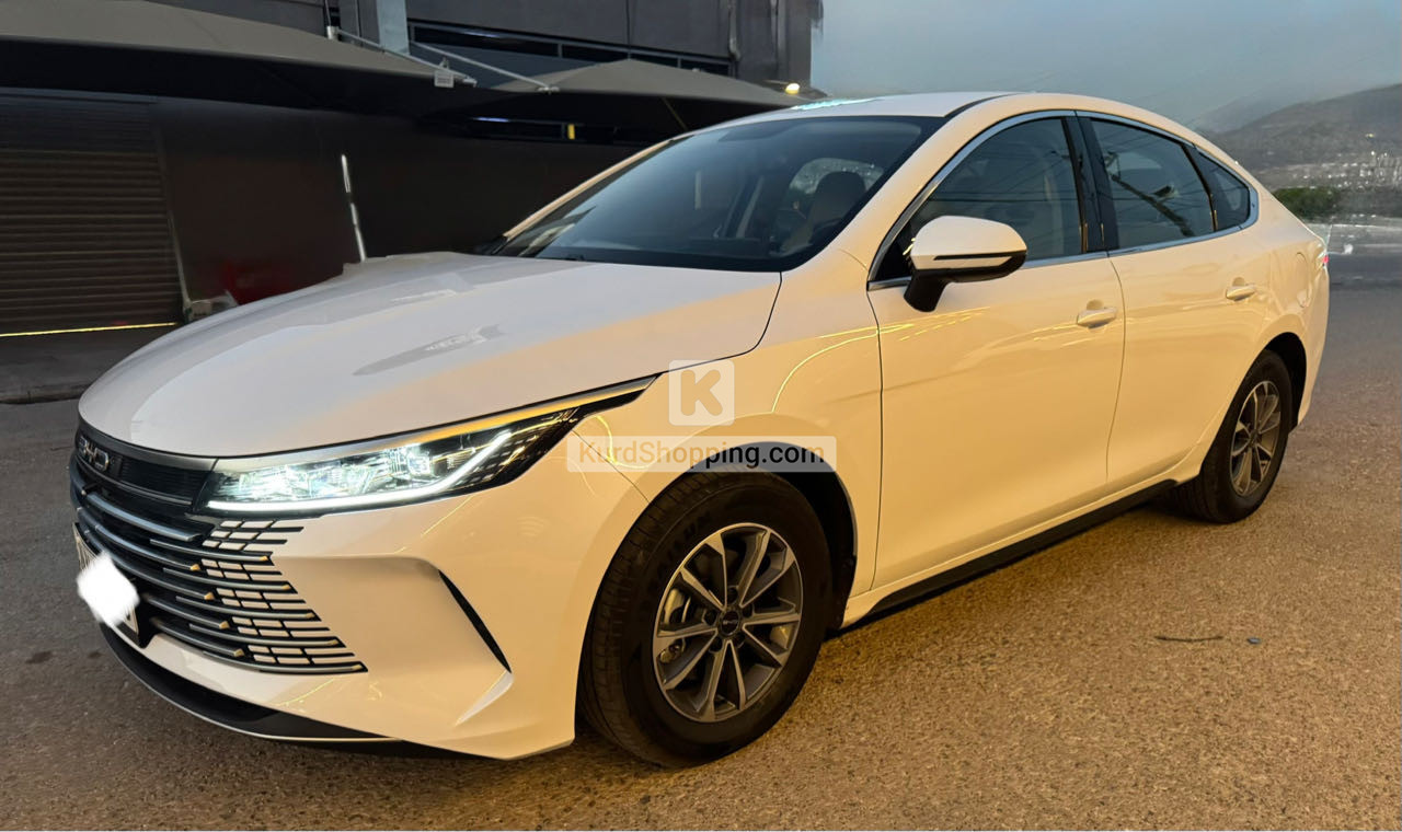 BYD DESTROYER 05 2025