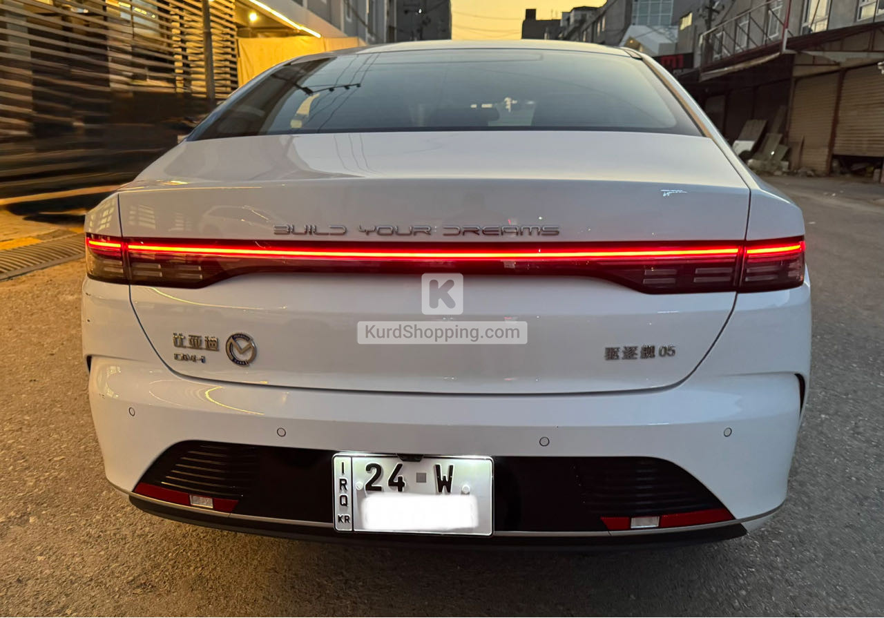BYD DESTROYER 05 2025