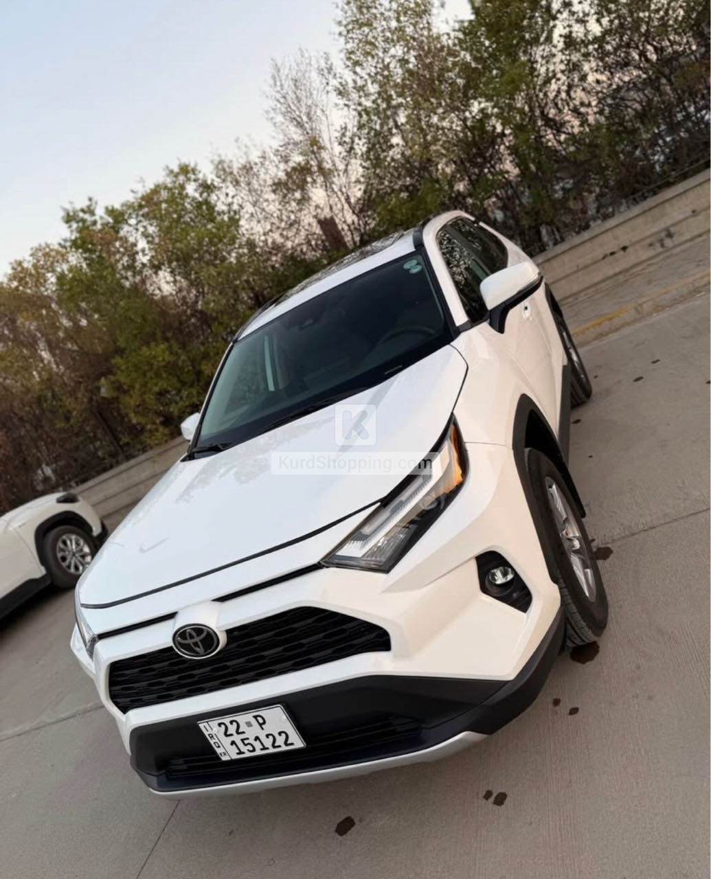 Toyota Rav4 2024