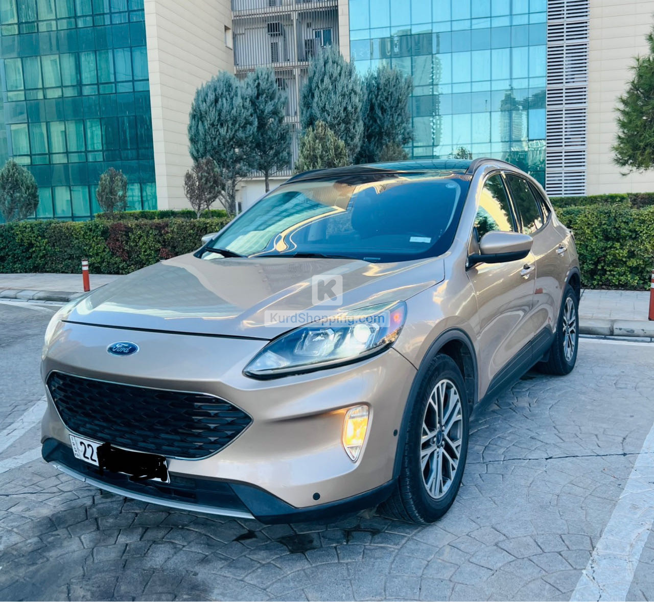 Ford Escape 2021