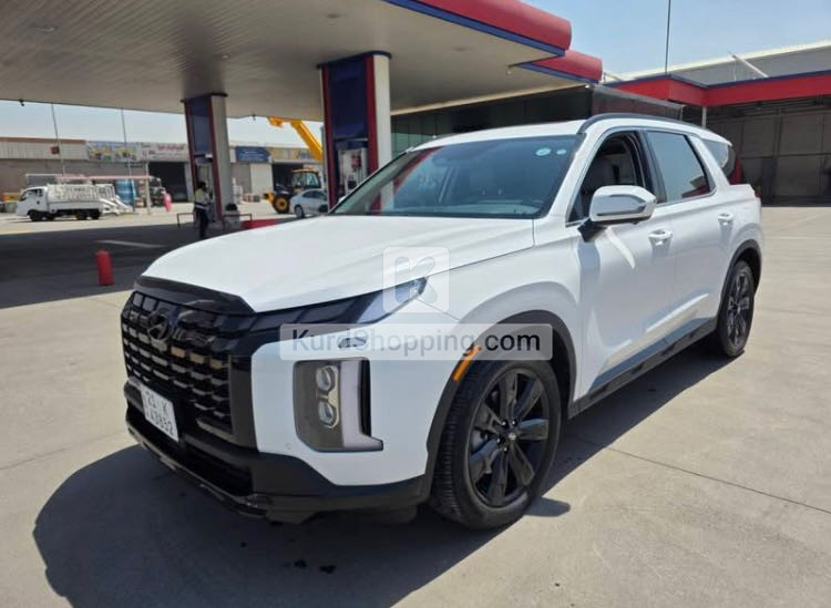 Hyundai Palisade 2025