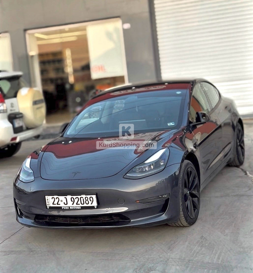 Tesla Model 3 2022
